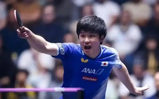 奥地利队鏖战法国队,张本智和关键制胜 奥地利队鏖战法国队,张本智和关键制胜