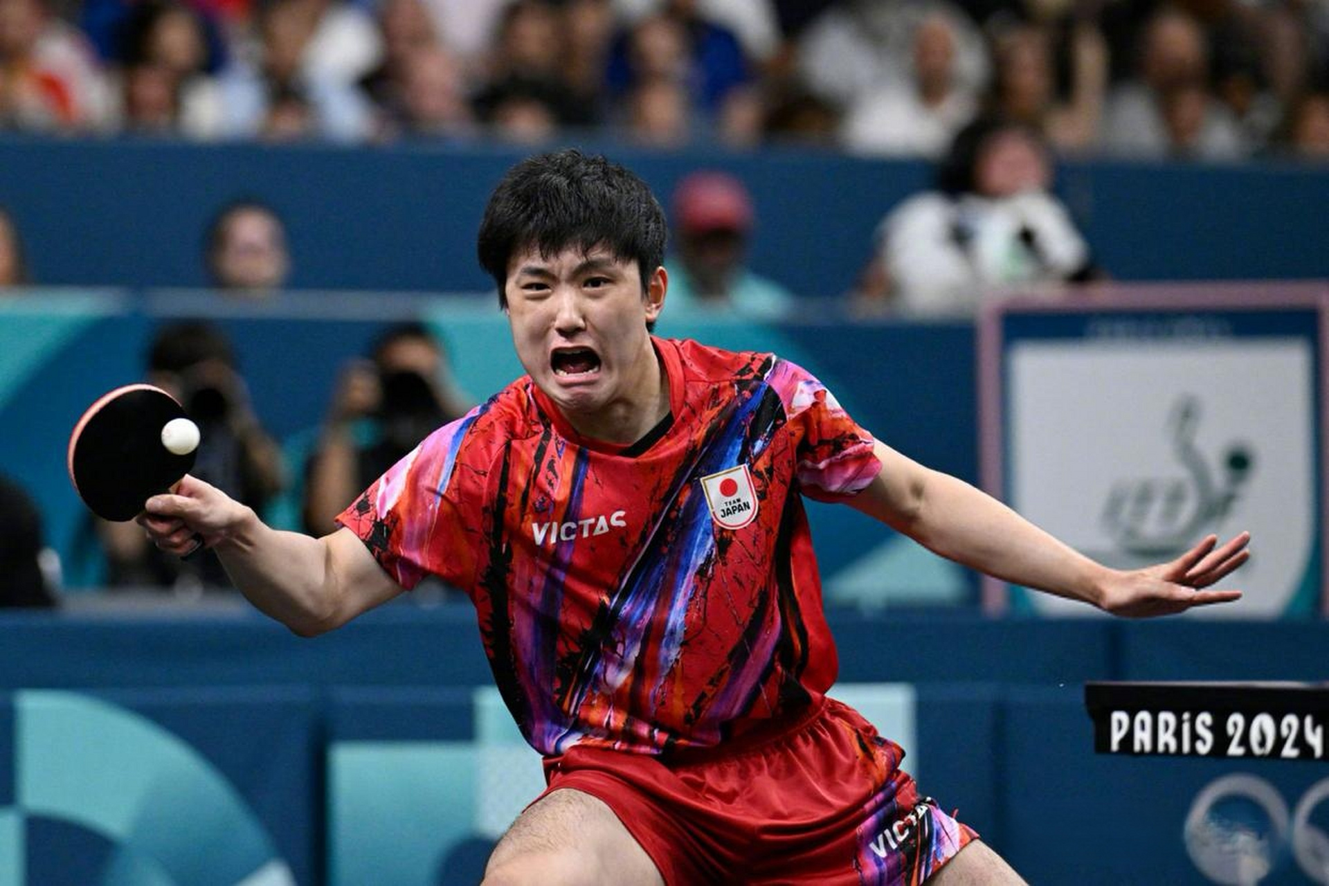 法国队完胜德国队,张本智和扛起全队 法国队完胜德国队,张本智和扛起全队