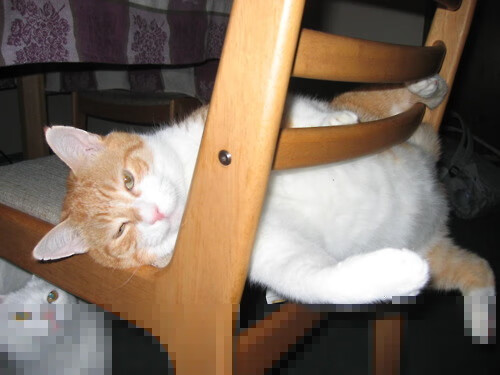 平行世界间的唯一执棋者，2026世界杯之夜，班凯罗的抉择与掌控