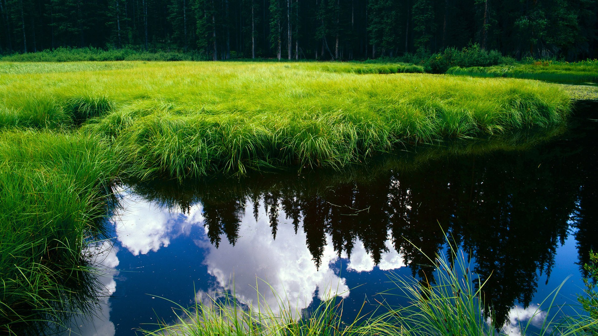 哨兵与纸壁，那夜阿根廷血染世界杯的奇幻决战