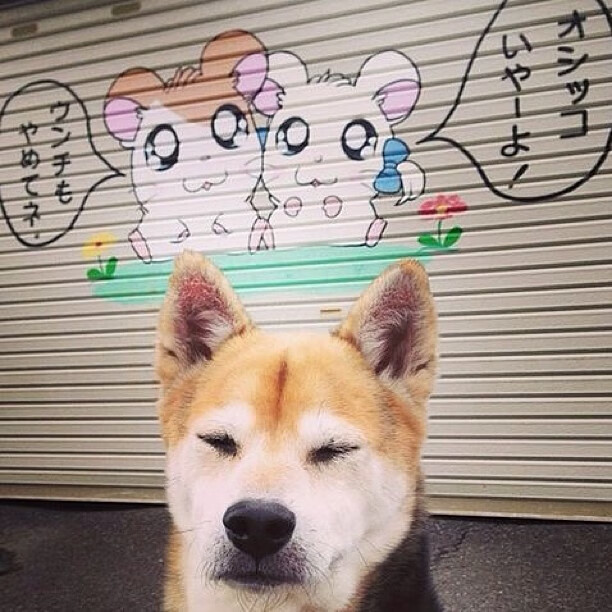 绿茵双城记,点球决胜的帝国与联赛争霸的雇佣兵