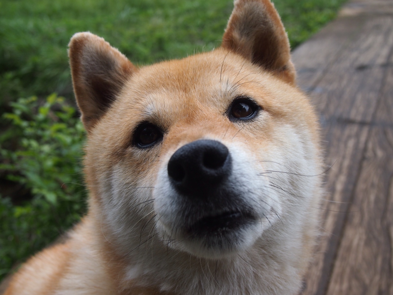 剑与棋,两种绝杀,同一种体育精神