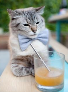 冰与火之歌,世界杯狂热中的一捧寒地惊雷