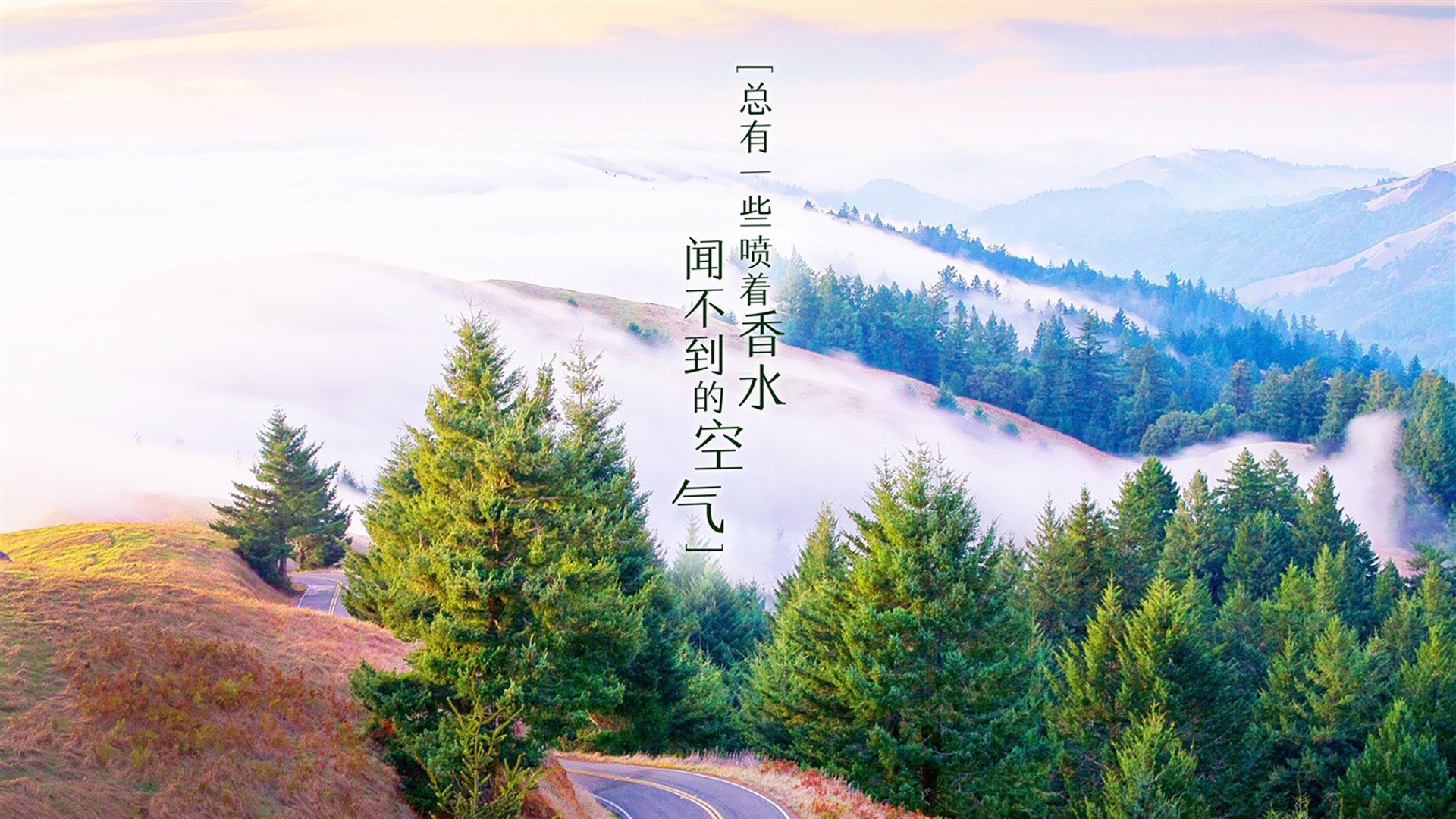 格林时间到！纽约王牌末节接管比赛，尼克斯稳扎稳打碾碎猛龙反扑
