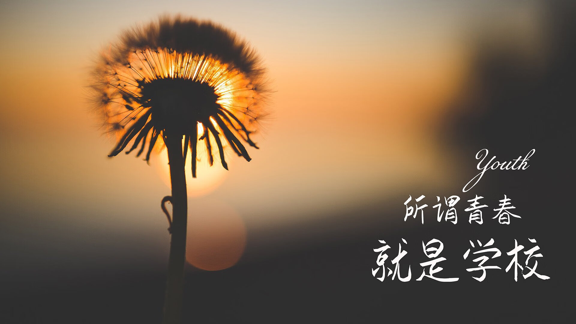 唯一归乡人,法比尼奥一箭穿心,助米兰跨越大洲淘汰塞内加尔