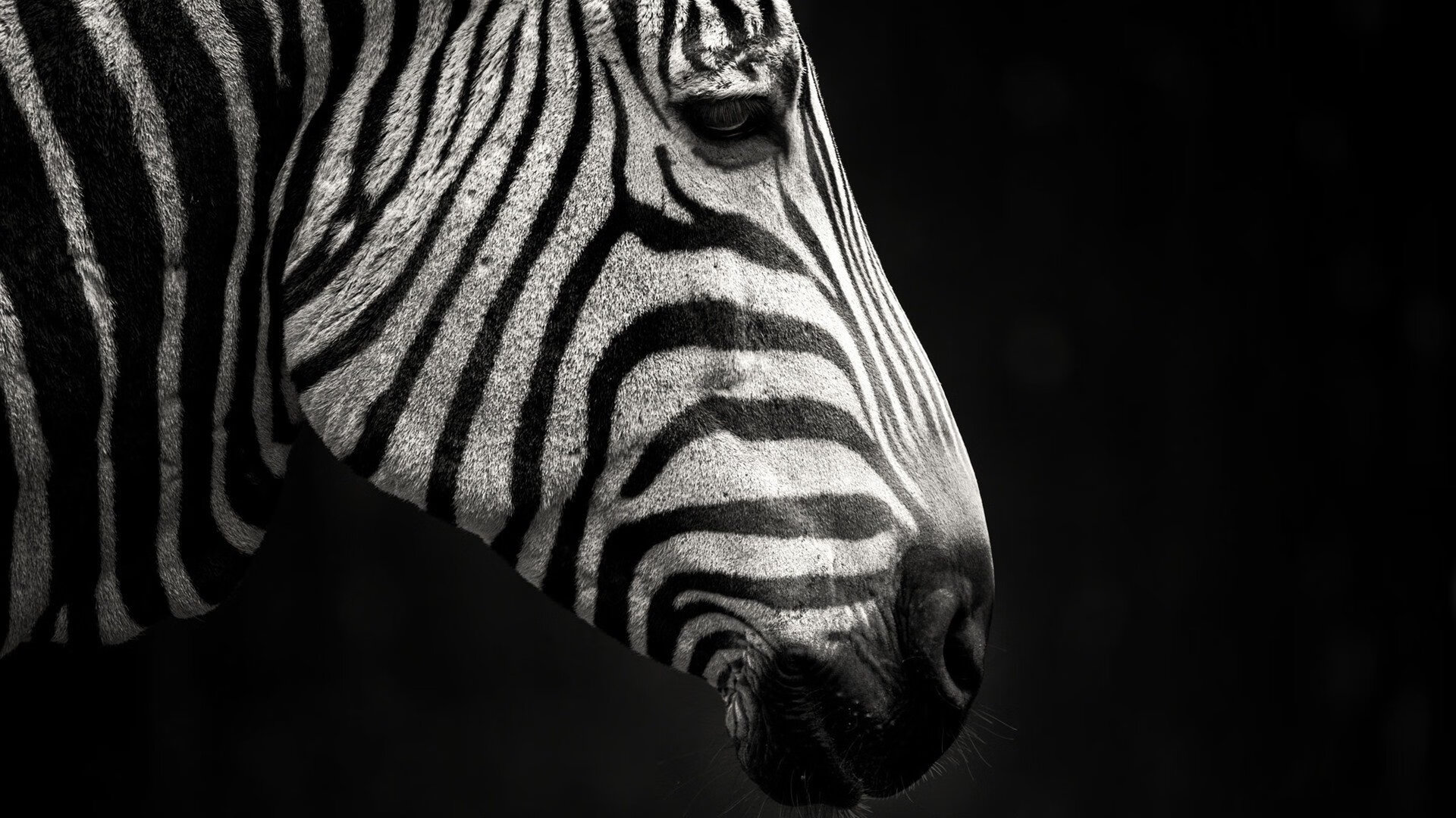 草根巨人的孤勇，2026世界杯E组关键战，加纳碾压波兰背后的铁血逻辑
